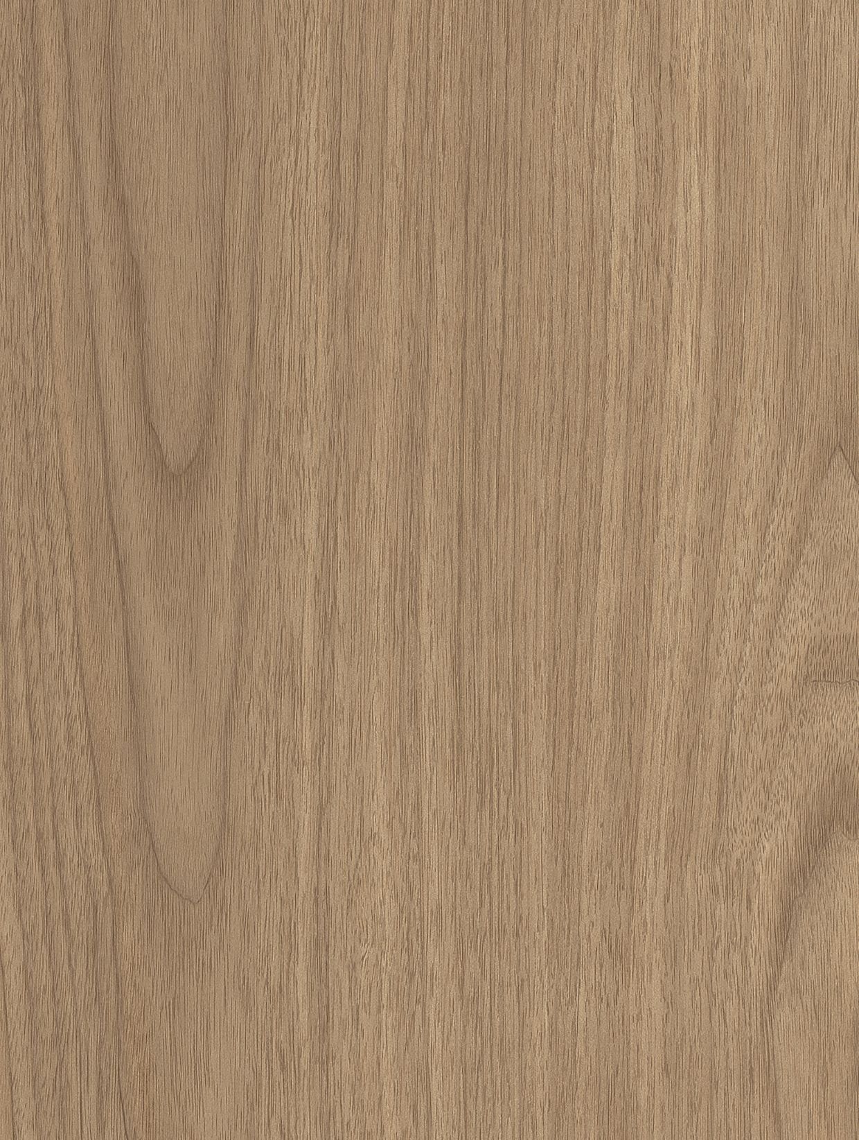 AF08 Walnut Oak