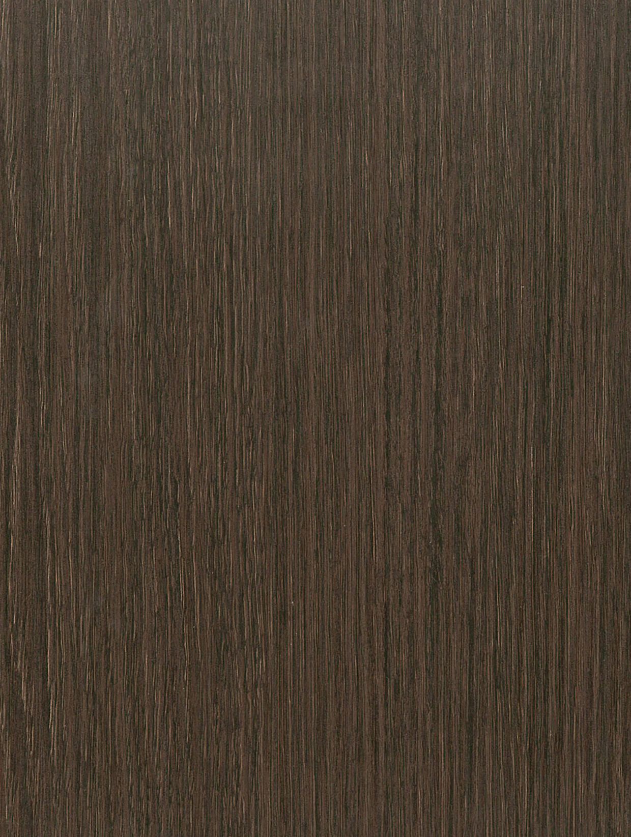 E50 E50