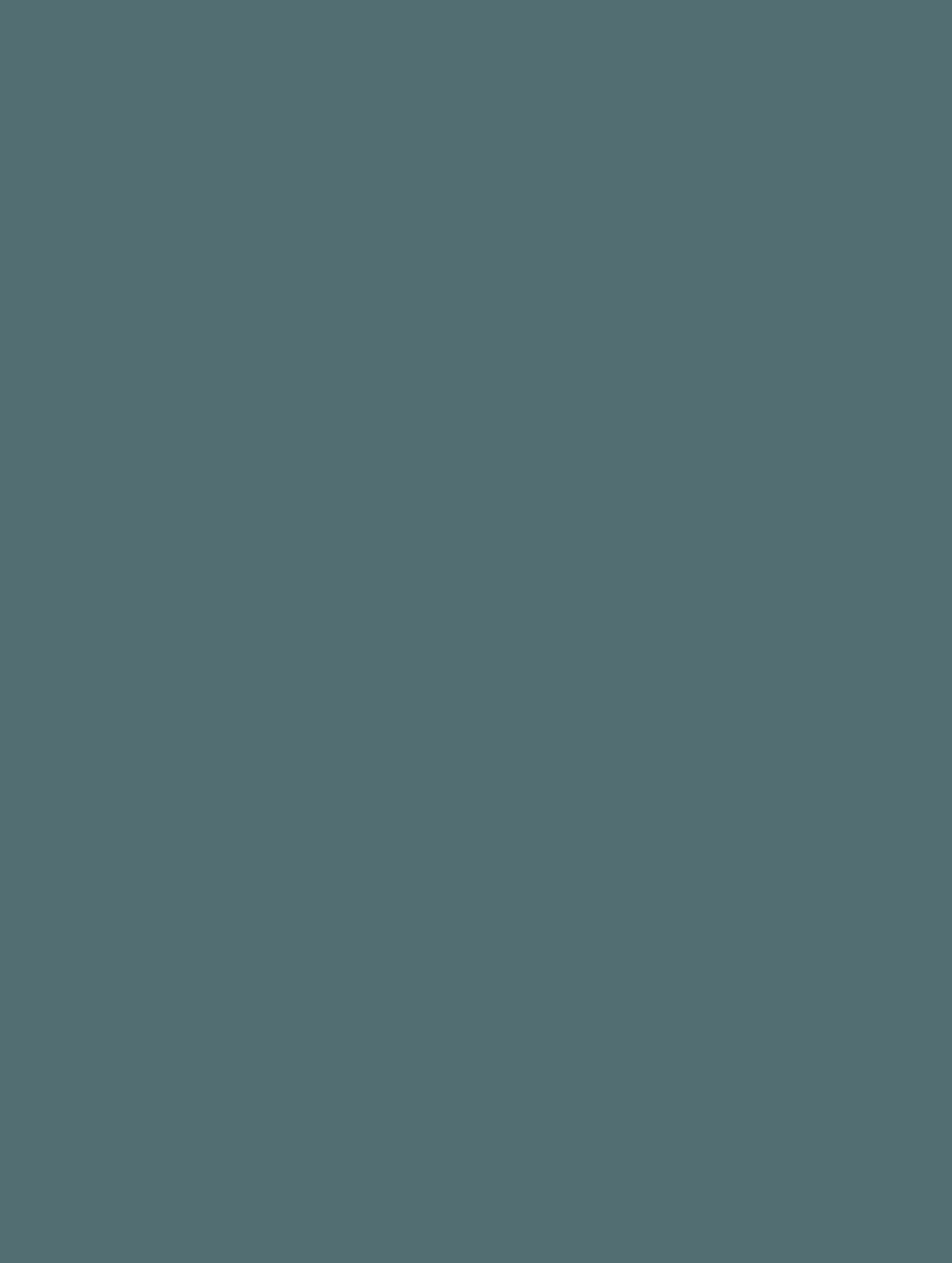 NF06 NF06
